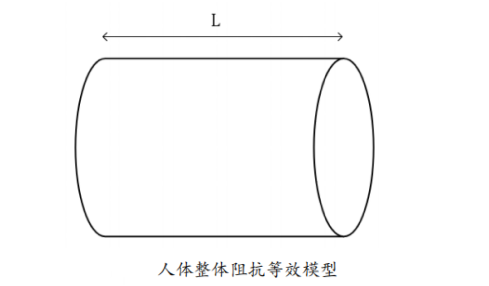 测出体脂的？数据准确吗？一起来了解pg电子模拟器免费试玩体脂秤是怎么(图2)